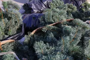  &copy;&nbsp;Фото пресс-службы администрации Краснодара