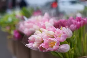  &copy;&nbsp;Фото Елены Синеок, Юга.ру