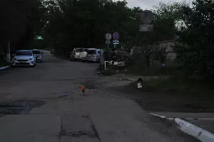 По пути к тропе &copy;&nbsp;Фото Марины Солошко, Юга.ру