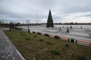 Аллея в честь 80-летия образования Краснодарского края &copy;&nbsp;Фото Елены Синеок, Юга.ру