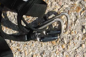  &copy;&nbsp;Фото с сайта pixabay.com