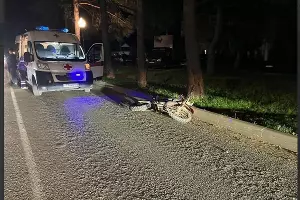  &copy;&nbsp;Скриншот из телеграм-канала &laquo;Горячий Ключ life&raquo; https://t.me/life_news_gk/8856