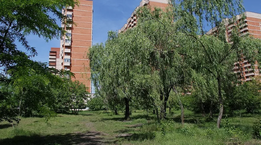  &copy;&nbsp;Фото пресс-службы администрации Краснодара