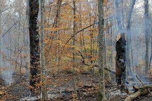  © Фото Алексея Щербины для Юга.ру