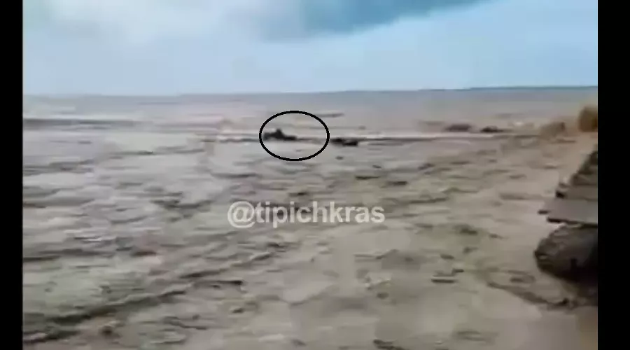  &copy;&nbsp;Скриншот с видео t.me/krd_tipich_ru