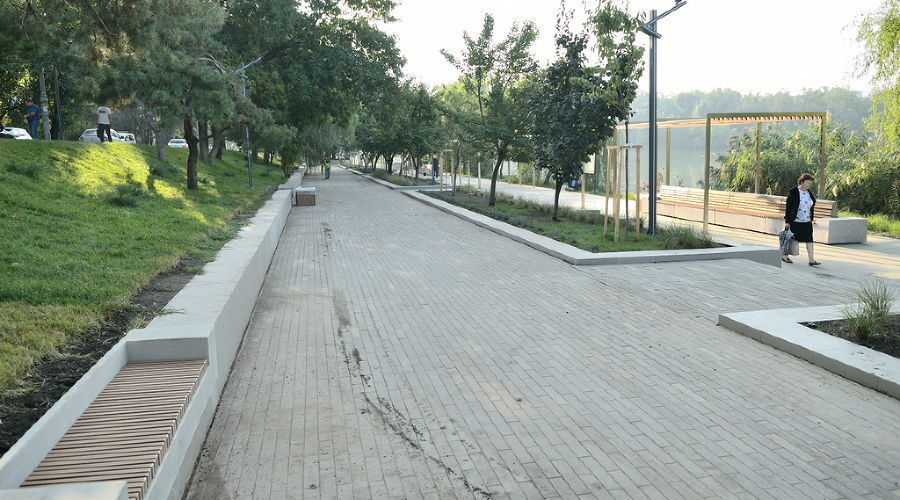  © Фото Александра Райко, пресс-служба мэрии Краснодара