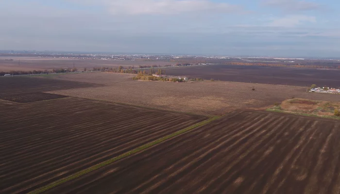  &copy;&nbsp;Фото Кирилла Панькова, Юга.ру