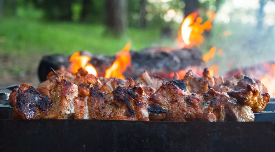 Шашлык на мангале &copy;&nbsp;Фото Vladimir Chake, pexels.com