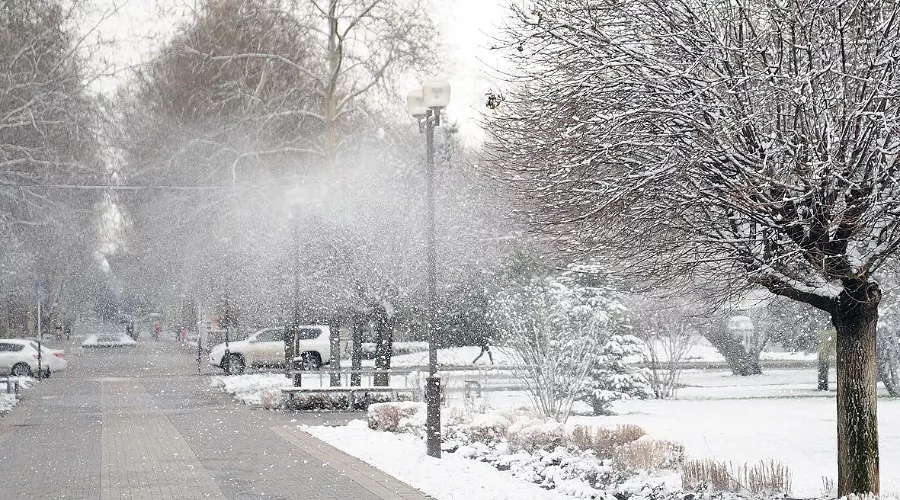  &copy;&nbsp;Фото Алёны Живцовой, Юга.ру