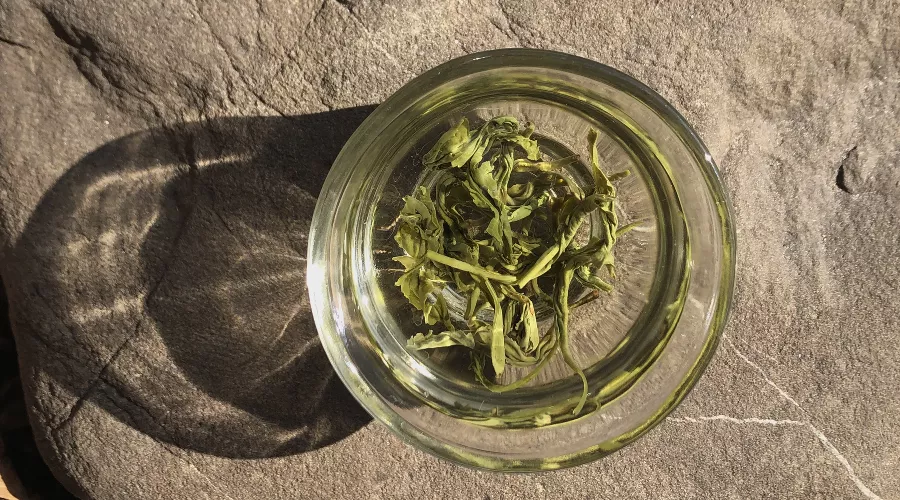  &copy;&nbsp;Фото Андрея Севоплясова