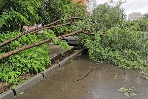  © Фото Евгения Дульского, Юга.ру