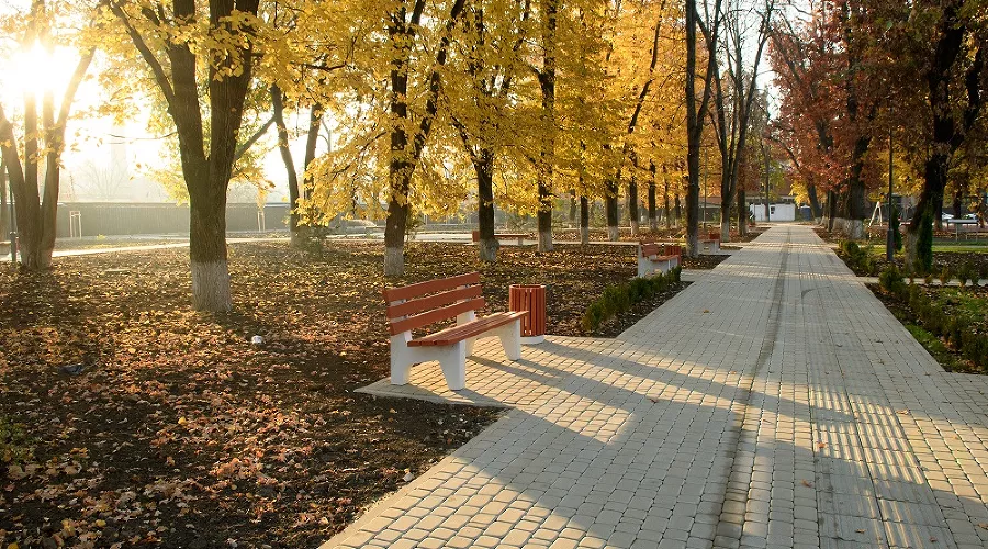  &copy;&nbsp;Фото пресс-службы мэрии Краснодара