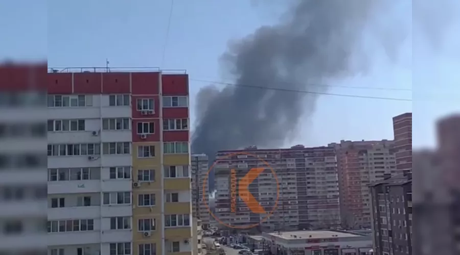  &copy;&nbsp;Скриншот видео из телеграм-канала &laquo;Телетайп Краснодара&raquo;, tmtr.me/tipichkras