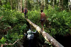  &copy;&nbsp;Фото Максима Богатырева