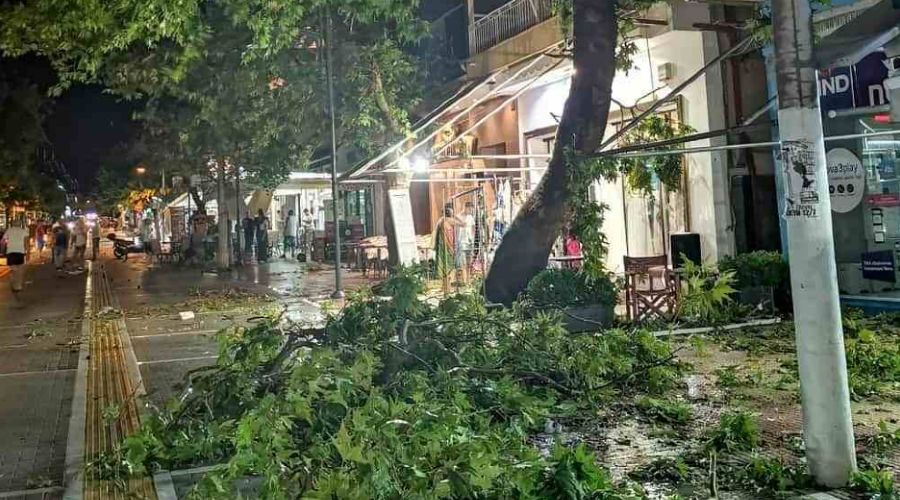  &copy;&nbsp;Фото со страницы twitter.com/8essalonication