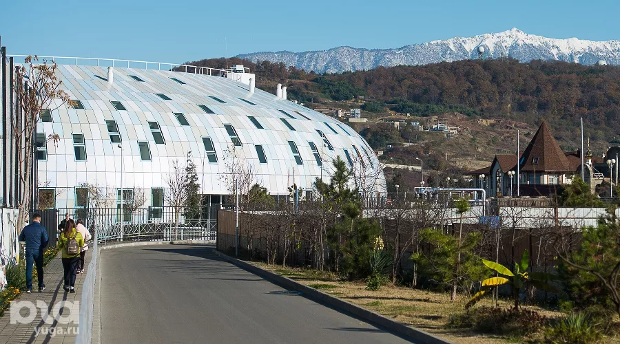 Образовательный центр «Сириус» &copy;&nbsp;Фото Елены Синеок, Юга.ру