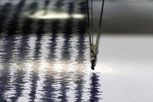  &copy;&nbsp;Фото с сайта ntv.ru