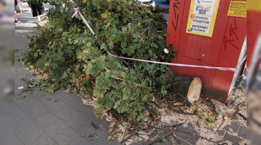  &copy;&nbsp;Фото пресс-службы администрации Краснодара