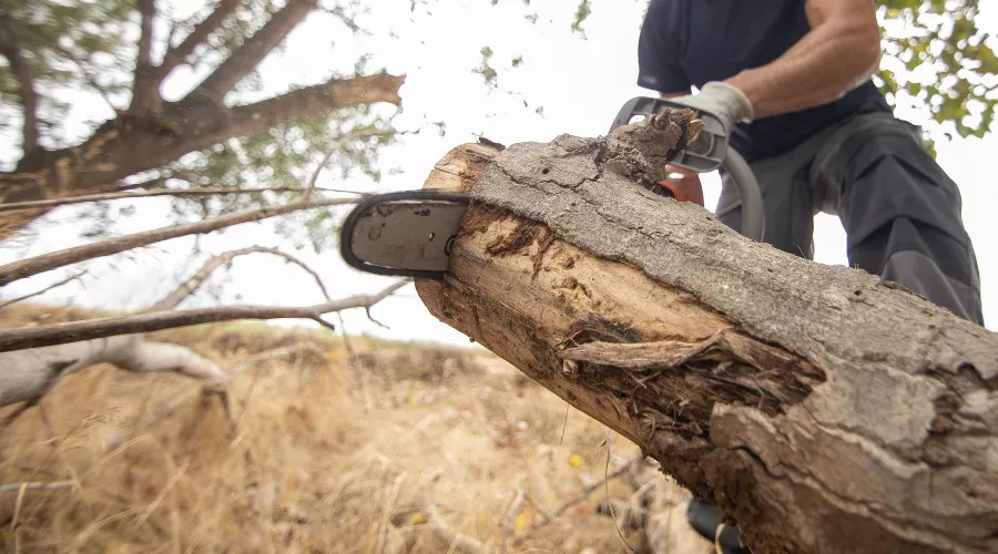  &copy;&nbsp;Фото пользователя wirestock сайта freepik.com