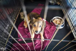  &copy;&nbsp;Фото Елены Синеок, Юга.ру