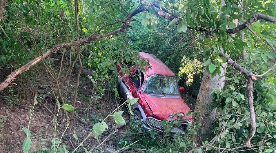  &copy;&nbsp;Фото пресс-службы УГИБДД ГУ МВД России по Краснодарскому краю