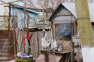  &copy;&nbsp;Фото Дениса Яковлева, Юга.ру