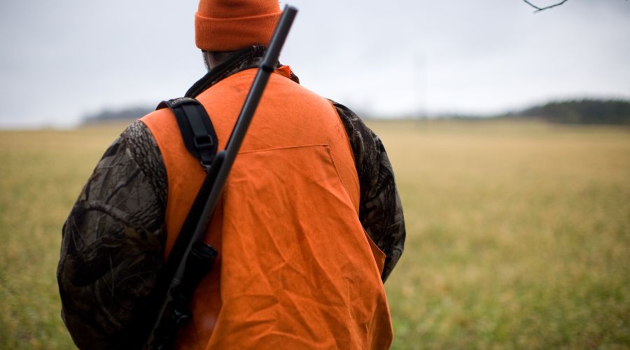  © Фото Matthew Maaskant, unsplash.com