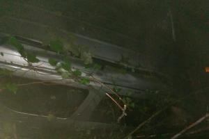  &copy;&nbsp;Фото пресс-службы ЮРПСО МЧС России