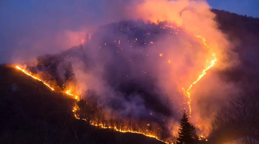  &copy;&nbsp;Фото Владислава Щеколдина, Юга.ру