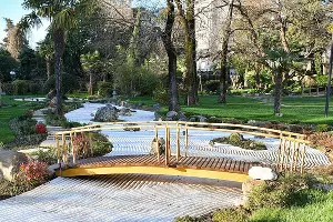  &copy;&nbsp;Фото предоставлено пресс-службой администрации Сочи