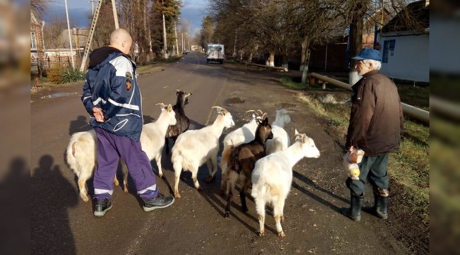  © Фото пресс-службы «Кубань-СПАС»