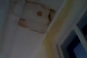  &copy;&nbsp;Скриншот из видео со страницы twitter.com/JuliaAlyans