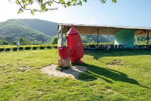 Чайная плантация &copy;&nbsp;Фото Екатерины Штыбиной