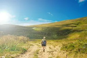  &copy;&nbsp;Фото irabrester, freepik.com