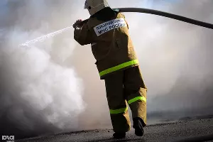  &copy;&nbsp;Фото Елены Синеок, Юга.ру