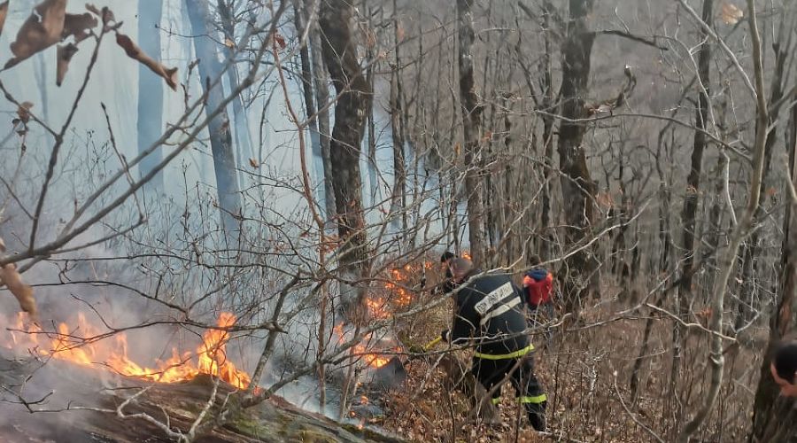  &copy;&nbsp;Фото пресс-службы ГУ МЧС России по Краснодарскому краю