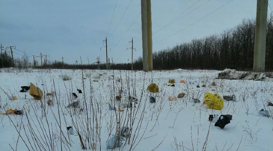  &copy;&nbsp;Фото со страницы vk.com/elec_online