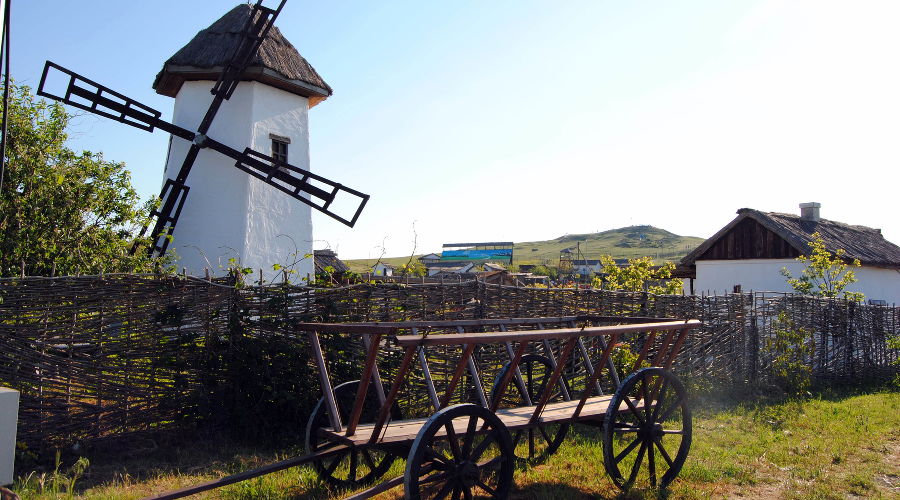  © Фото Анны Петровой, Юга.ру