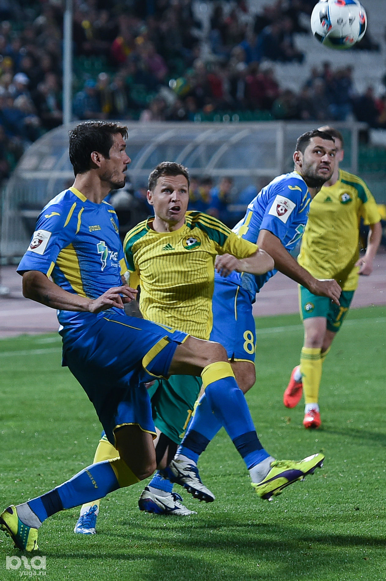 сборная команды ростов. фк ростов молодежка. ростов сельмаш футбольная команда. фк ростов командное фото. сборная команды ростов.