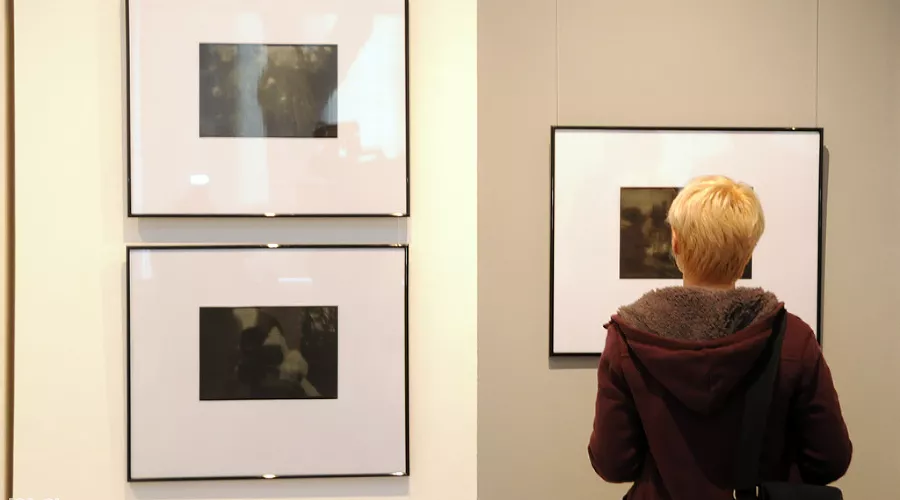 Photovisa-2011 &copy;&nbsp;Елена Синеок. ЮГА.ру