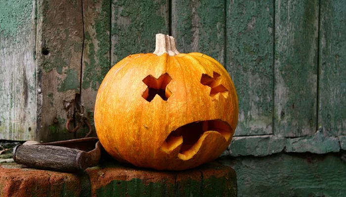  &copy;&nbsp;Фото с сайта pixabay.com