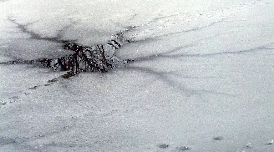  &copy;&nbsp;Фото с сайта pixabay.com