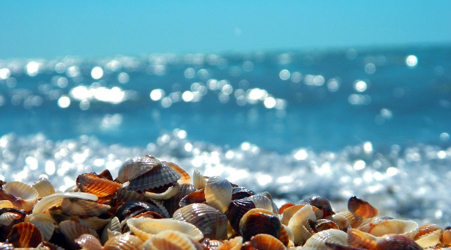  © Фото с сайта pixabay.com