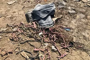  &copy;&nbsp;Фото Антона Быкова, Юга.ру