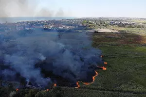  &copy;&nbsp;Фото со страницы instagram.com/cheh_rodion
