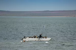 Раскопки в Фанагории &copy;&nbsp;Фото Елены Синеок, Юга.ру