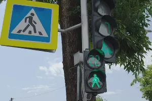  &copy;&nbsp;Фото Дмитрия Леснова, Юга.ру