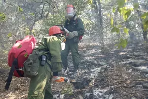  &copy;&nbsp;Фото Максима Ребеченко