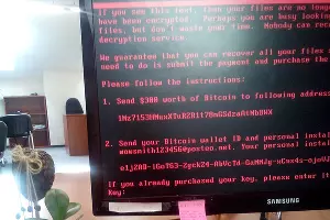 Вирус Petya &copy;&nbsp;Фото из аккаунта в инстаграме instagram.com/yulenka_berdnik