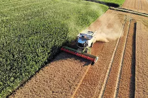  &copy;&nbsp;Фото Christian Bueltemann, pixabay.com